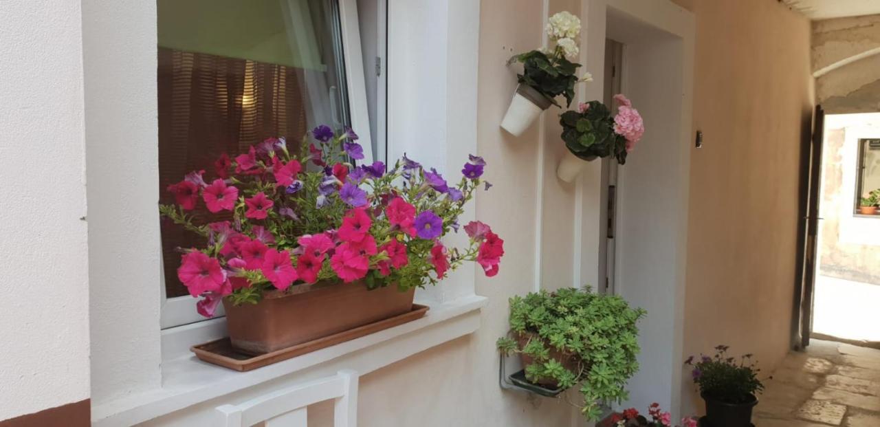 Apartment Asja Old City Center プーラ エクステリア 写真